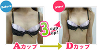 �o�X�g�A�b�v