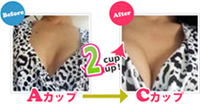 �o�X�g�A�b�v