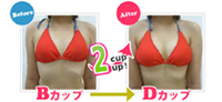 �o�X�g�A�b�v